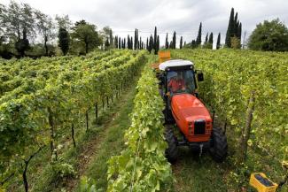 4WD traktorok SAME Frutteto³ S 80 GS DT