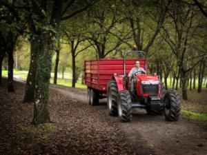 4WD traktorok Massey Ferguson MF 3645 A