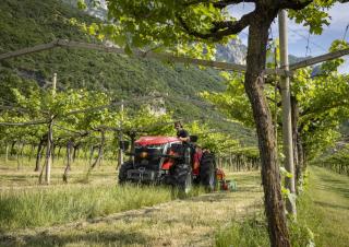 4WD traktorok Massey Ferguson MF 3GE.105 