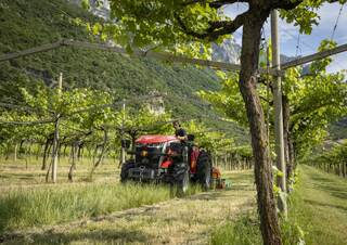 4WD traktorok Massey Ferguson MF 3GE.85 