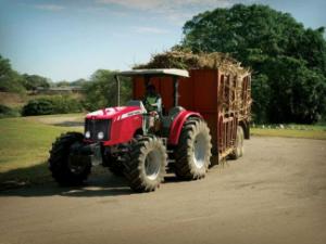 4WD traktorok Massey Ferguson MF 5455-4 Standard