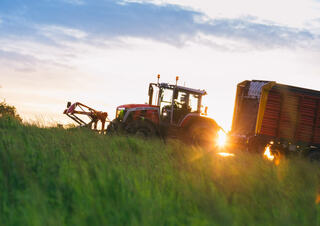 4WD traktorok Massey Ferguson MF 8S.285