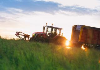 4WD traktorok Massey Ferguson MF 8S.305 