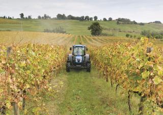 4WD traktorok New Holland T 4.105 LP