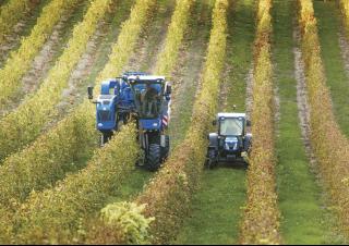 4WD traktorok New Holland T 4.105 LP