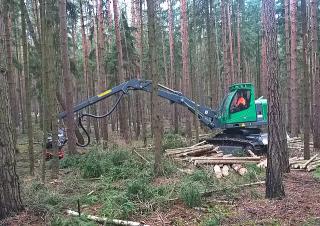 Erdészeti gépek Betakartógépek Neuson Forest 103HV