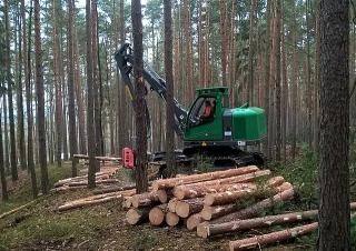Erdészeti gépek Betakartógépek Neuson Forest 104HVT
