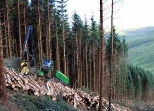 Erdészeti gépek Betakartógépek John Deere 1270 E IT4