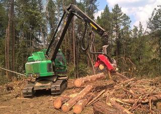 Erdészeti gépek Betakartógépek Neuson Forest 183HVT