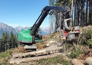 Erdészeti gépek Betakartógépek Neuson Forest 243HV