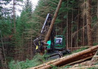 Erdészeti gépek Betakartógépek Neuson Forest 243HVT