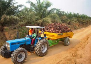 Szállítás technológia Billenő pótkocsik Joskin TRANS-PALM 5000/7C65