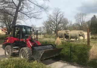 Gumikerekes homlokrakodók Yanmar V80