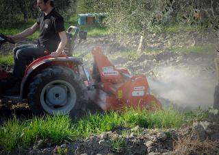 Hajtott tárcsák Maschio W 125