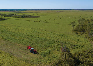 Hátra szerelhető kaszák - tárcsa és cond. Massey Ferguson 1373