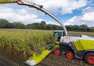 Kombájn eszközök Kombájn kukoricaasztalok Claas Orbis 900 