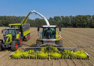 Kombájn eszközök Kombájn kukoricaasztalok Claas Orbis 900 