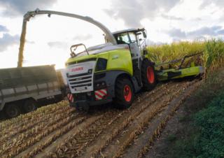 Kombájn eszközök Kombájn kukoricaasztalok Claas Orbis 900 