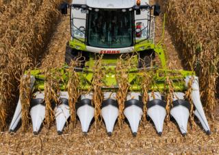 Kombájn eszközök Kombájn kukoricafelszedők Claas Corio 875 C