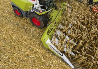 Kombájn eszközök Kombájn kukoricafelszedők Claas Corio 875 C