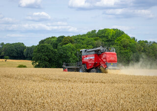 Kombájnok Massey Ferguson Activa 7342-MCS