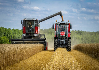 Kombájnok Massey Ferguson Activa 7343-MCS