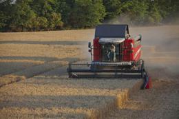 Kombájnok Massey Ferguson Activa 7347 S