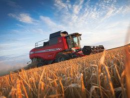Kombájnok Massey Ferguson Beta 7370