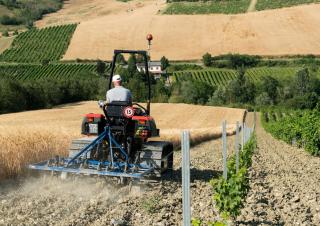 Kombájnok DEUTZ-FAHR C 7206 TS Topline Extra Power