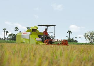 Kombájnok Claas Crop Tiger 30 Terra Trac