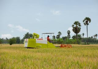 Kombájnok Claas Crop Tiger 30 Terra Trac