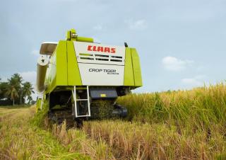 Kombájnok Claas Crop Tiger 40 Terra Trac