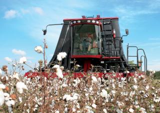 Kombájnok Case IH Module Express 635