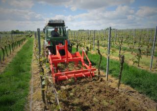 Kultivátorok Maschio Pinocchio 130/3