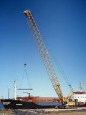 Lánctalpas daruk - rácsos gém Liebherr LR 1200