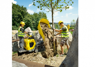 Lánctalpas dömperek Wacker Neuson DT10