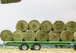 Szállítás technológia Lowbed pótkocsik Joskin TRAILED WAGO TR10000T20