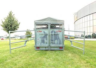 Szállítás technológia MarhaszállÍtó pótocsik Fliegl TTW 100