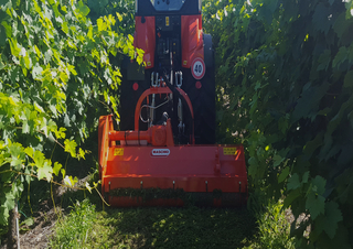 Mulcsozók Maschio Furba 100