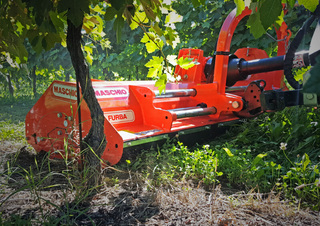Mulcsozók Maschio Furba 100