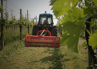 Mulcsozók Maschio Tigre 230