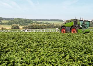 Önjáró  szántóföldi permetezők Fendt Rogator 635