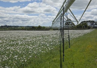 Öntözéstechnológiák Öntüzőfej árbocok Bauer Irrigation Centerstar 203E