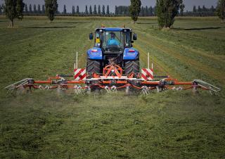 Rendterítők Maschio Elia Pro 650