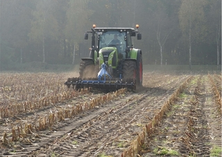 Réthengerek Tigges DF 65-600 CC FH
