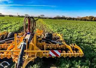 Tárcsák Agrisem Disc-O-Mulch Gold 6.00 