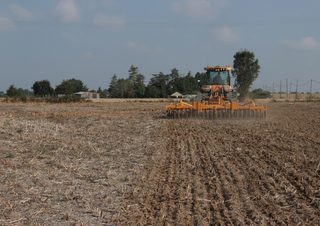 Tárcsák Agrisem Maximulch 6.00 Serie 3