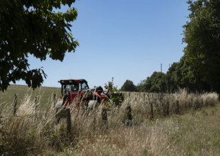Teleszkópos rakodók Manitou MLT 630-115 D Elite