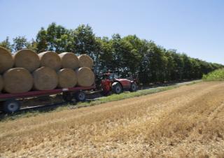 Teleszkópos rakodók Manitou MLT-X 841 - 145 PS+
