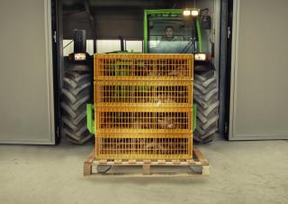 Teleszkópos rakodók Merlo TF 30.9-115 L